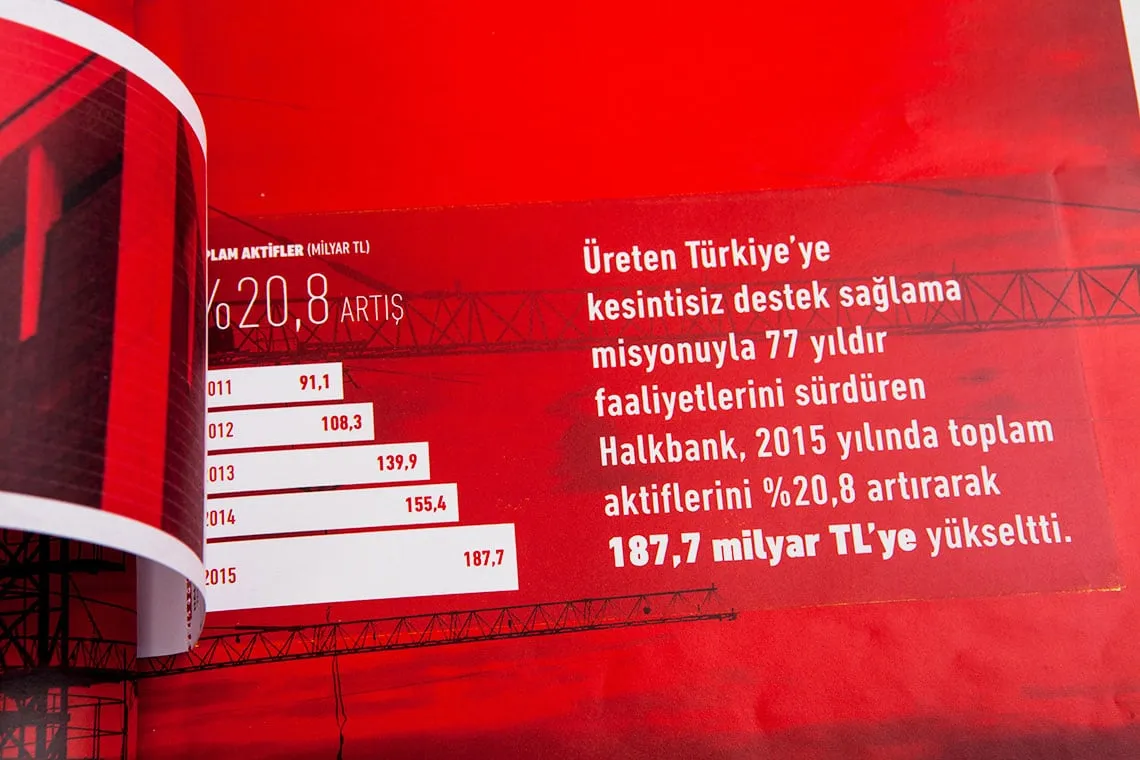 HALKBANK 2015 FAALİYET RAPORU - 3