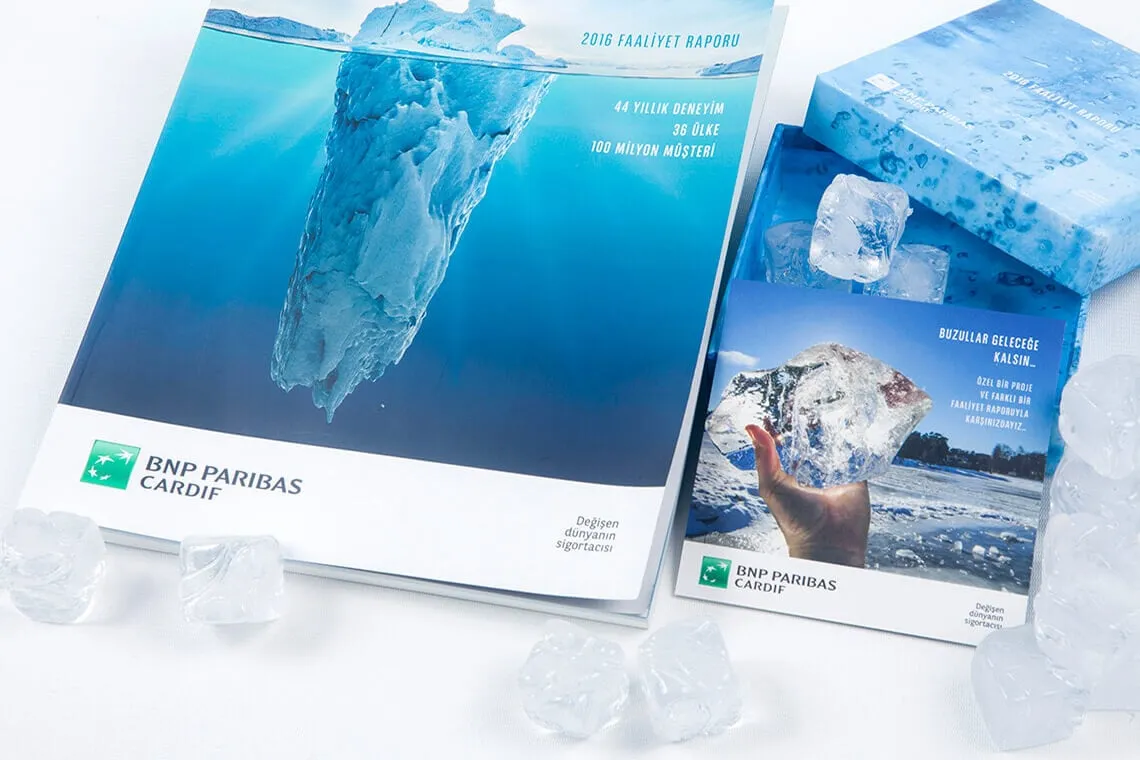 BNP PARIBAS CARDIF 2016 FAALİYET RAPORU - 2
