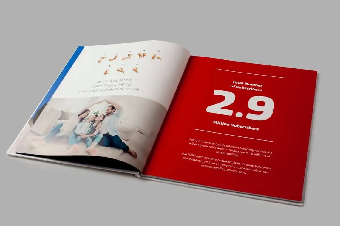 AKSA DOĞALGAZ 2018 FAALİYET RAPORU - 2