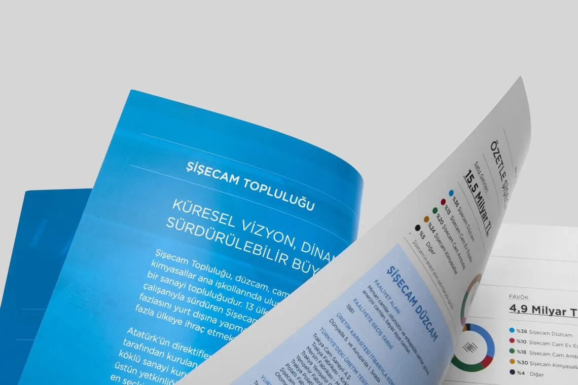 ŞİŞECAM VE İŞTİRAKLERİ 2018 FAALİYET RAPORU - 2
